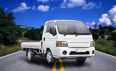 transporte